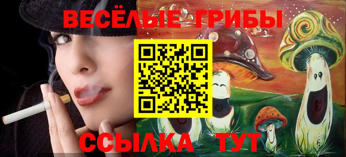 Псилоцибиновые грибы Psilocybe Ишимбай